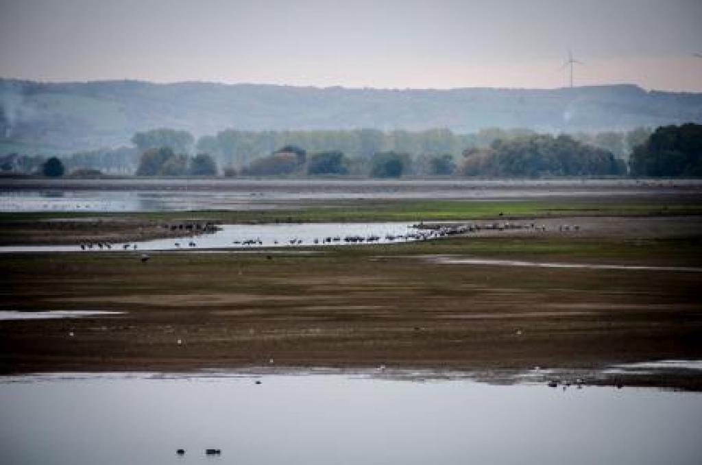 Stausee Kelbra