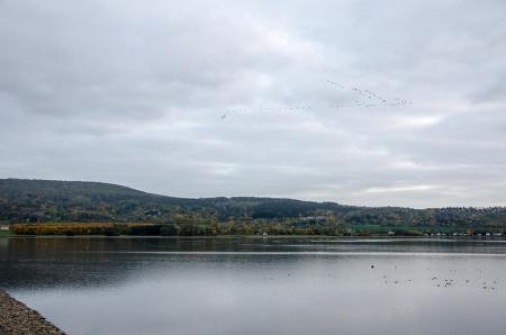 Stausee Kelbra . 