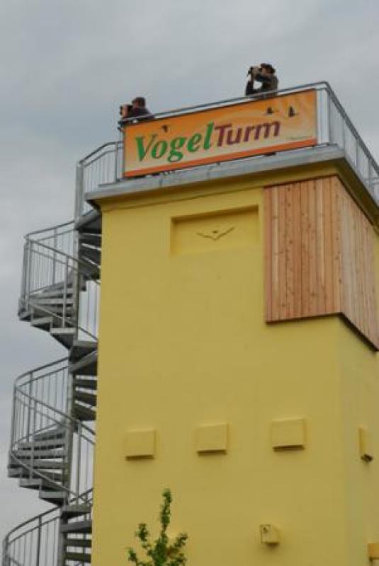 Vogelturm