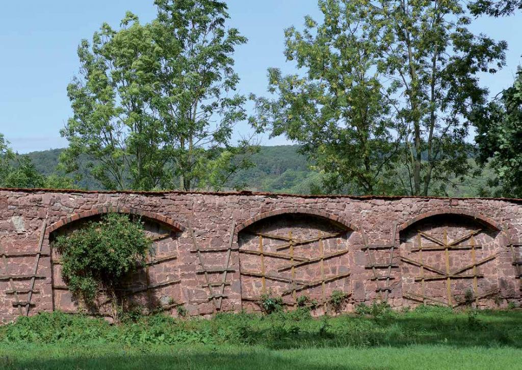 Die Mauer im Umfeld der Blutbuche war über weite Strecken eingestürzt. Heute ist sie durch den Einsatz der Gemeinde und vieler fleißiger Helfer wieder hergestellt. In den Rundbögen wurde früher wahrscheinlich Pfirsich als Spalierobst gezogen . (Fotograf: L. Koch)