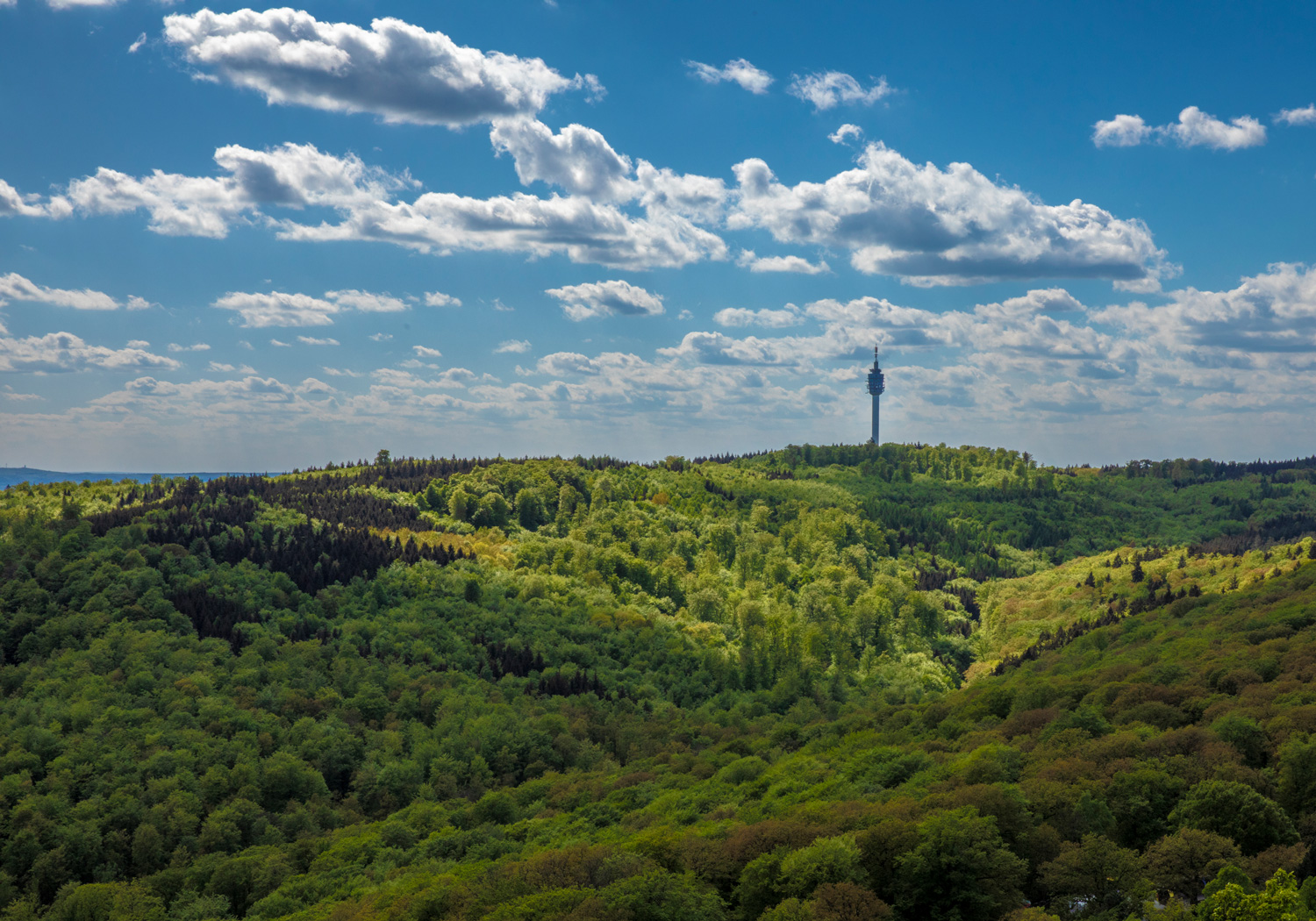 Naturpark Kyffhäuser