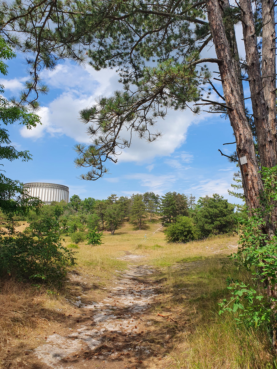 Naturpark Kyffhäuser