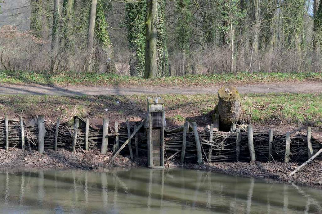 Erkennen Sie im Zentrum des Bildes den unscheinbaren Mönch? Mit dieser Holzkonstruktion lässt sich der Wasserstand regulieren. Er ist an der tiefsten Stelle des Teichs verankert. . (Fotograf: L. Koch)