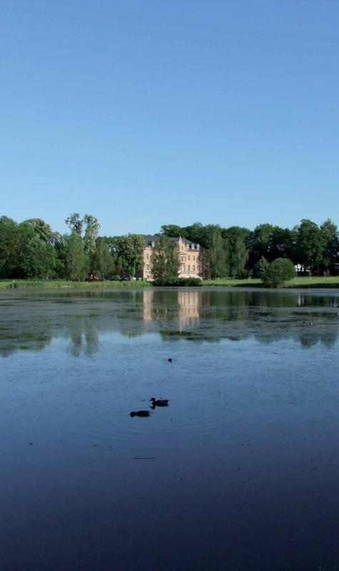 Blick über den großen Teich zum Schloss  . (Fotograf: L. Koch)